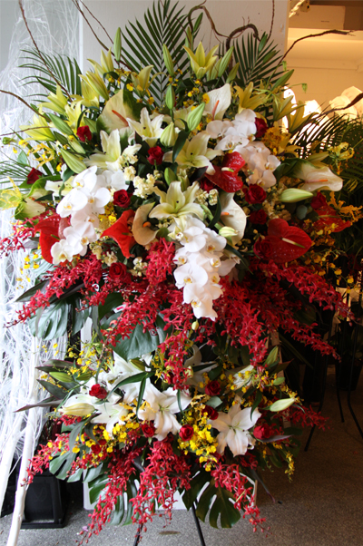 �X�^���h�� �����